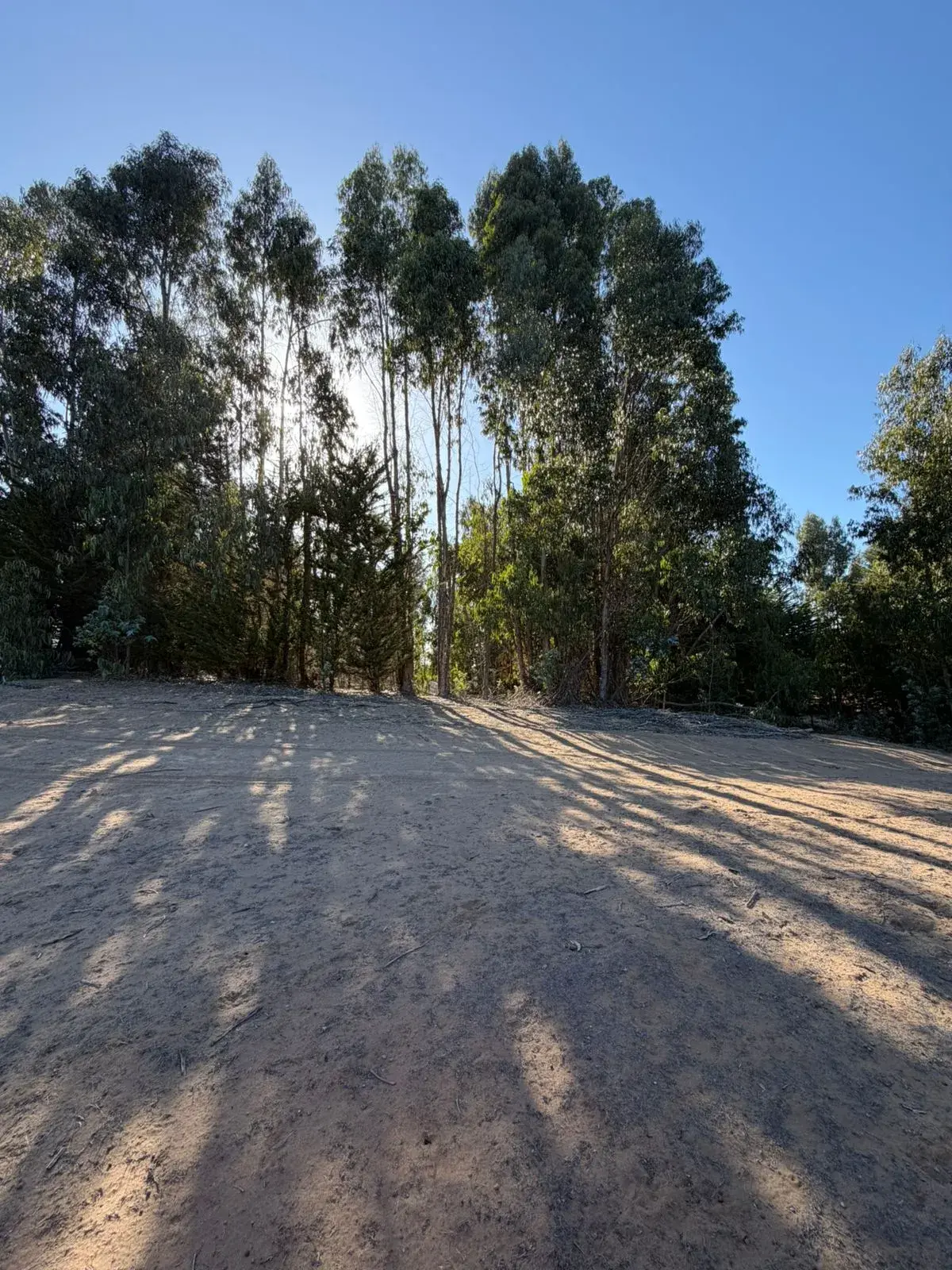 Terreno 5 min de maitencillo — Maitencillo